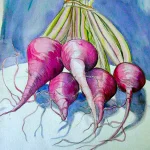 radishes