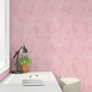 fan coral pink Wallaper