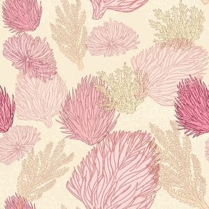 sea coral